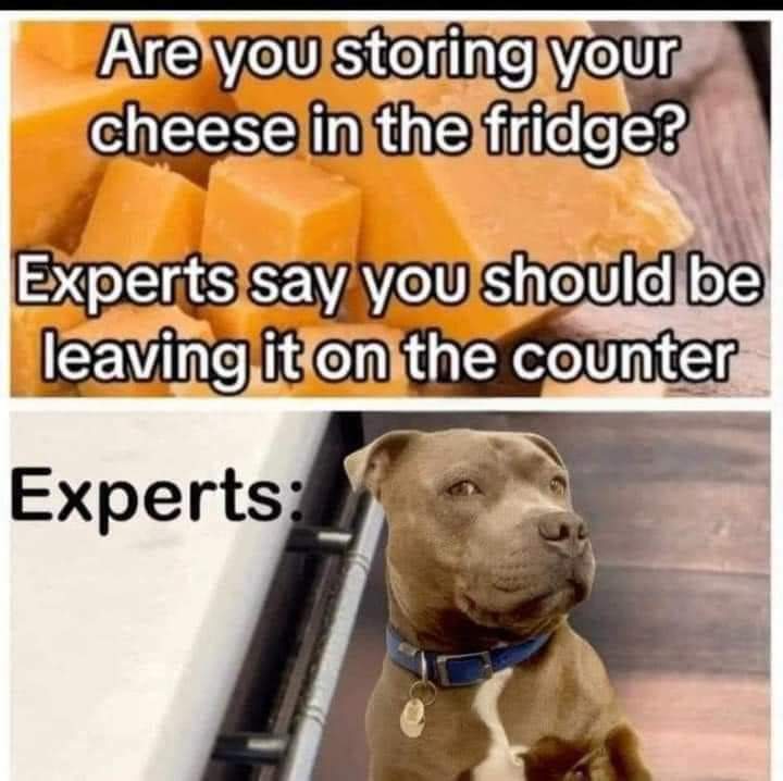 Experts say you should store your cheese on the counter